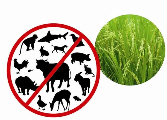 La protéine de recombinaison a épuré de l'usine avec non - de l'endotoxine animale d'ingrédient moins de 0.125EU/ug