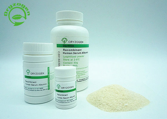 De recombinaison A avec le blanc pour allumer la poudre lyophilisée beige A la grande pureté