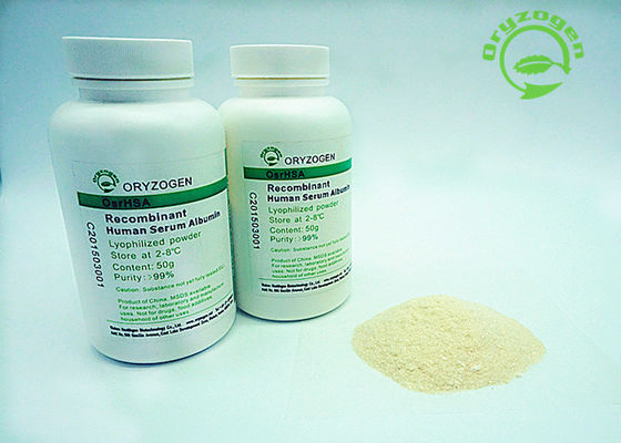 La pureté de 99% de recombinaison A le rHSA 66.5kD pour les réactifs biologiques industriels