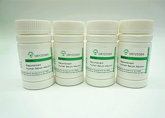 ISO9001 de recombinaison A CAS No. 70024-90-7 dérivé du riz a une plus grande pureté OsrHSA