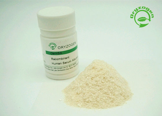 L'albumine sérique de recombinaison de pureté plus de 99% A blanc pour allumer la poudre beige de couleur