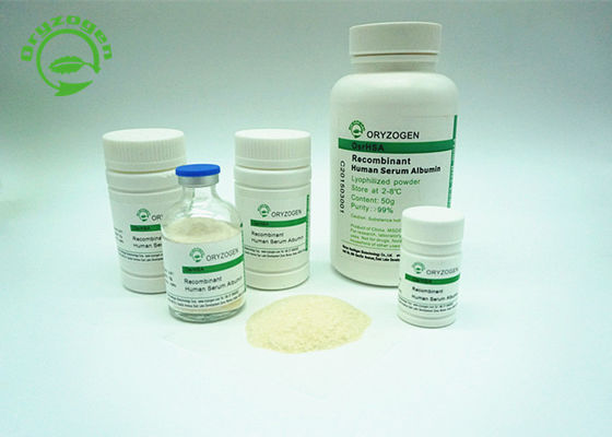 L'albumine sérique de recombinaison de pureté plus de 99% A blanc pour allumer la poudre beige de couleur