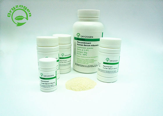 Oryzogen de recombinaison A du grain de riz a la bonne cohérence 70024-90-7 en lots