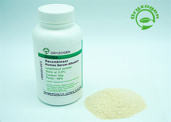 Aucun rHSA libre composant d'albumine de stabilisateur d'animal humain de recombinaison de poudre