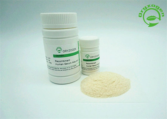 Poids moléculaire de recombinaison de l'albumine 65KD de poudre d'OsrHSA de grande pureté