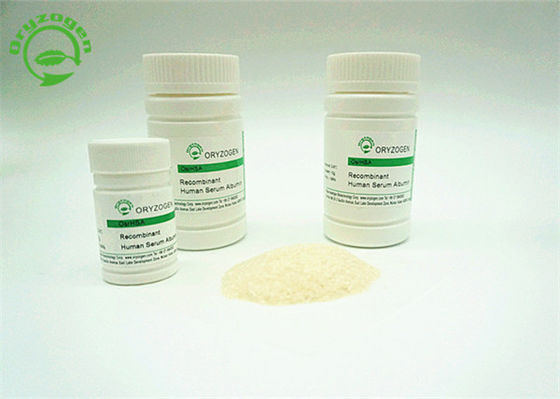 Favorisez la production d'anticorps le grain humain que de recombinaison de riz d'albumine a dérivé le poids moléculaire 66,5 KDa