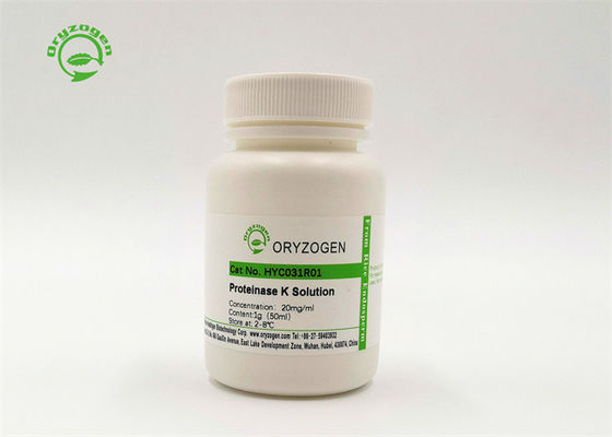 Catégorie de biologie moléculaire de la protéinase K Cas Number 39450-01-6 de ProK de fabricant direct
