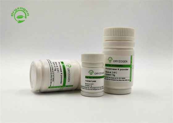 29kD solution courante de recombinaison 20mg/ml de la protéinase K pour l'extraction automatique