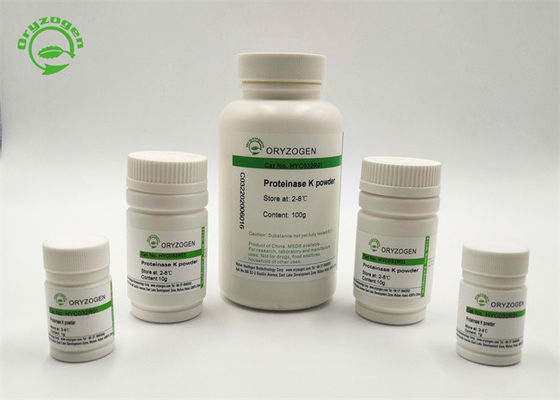 La protéinase K de CAS 39450-01-6 lyophilisée saupoudrent le rProK éliminent la DNase et la RNase