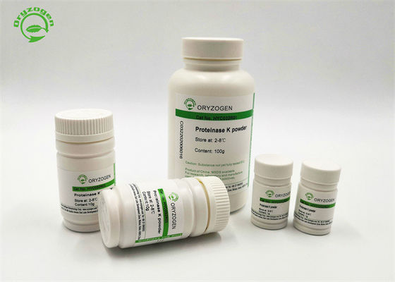 Offre en vrac 39450-01-6 de la protéinase K d'enzymes de purification d'ADN et d'ARN