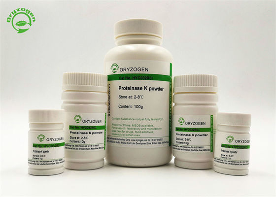 Pureté de recombinaison de la protéinase K d'album d'Engyodontium grande 50-100 µg/ML