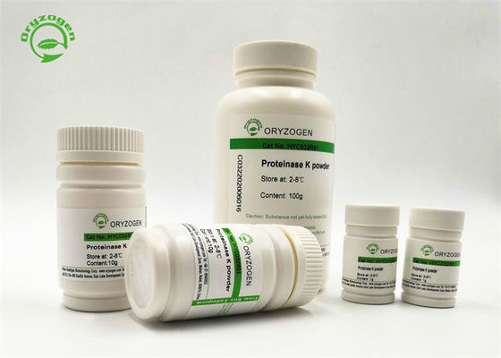 La catégorie de recombinaison d'ACP de la protéinase K d'Oryzogen 29kDa a lyophilisé la poudre de Pichia Pastoris