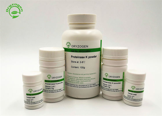 Protéinase de recombinaison K de bioactivité élevée pour l'extraction Genomic d'ADN