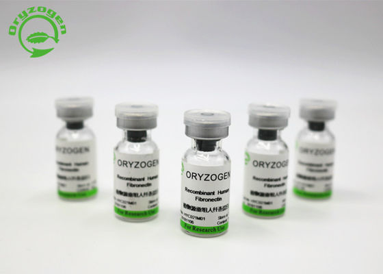 Agent de revêtement In Cell Culture Fibronectin de recombinaison outre de la poudre lyophilisée blanche OsrhFN