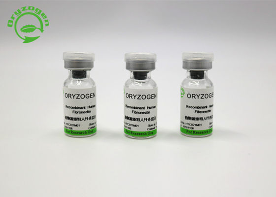 Grande pureté libre composante animale Fibronectin de recombinaison F-N de l'Oryza sativa