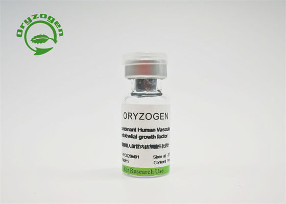 VEGF de recombinaison libre composant animal pour la culture cellulaire