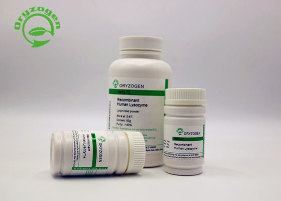 Poudre de recombinaison de lysozyme de grande pureté pour des applications antimicrobiennes 9001-63-2