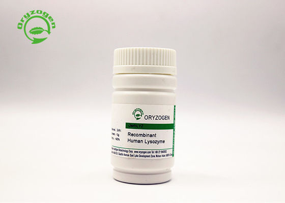 Poudre de recombinaison de lysozyme de grande pureté pour des applications antimicrobiennes 9001-63-2