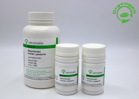 Le lysozyme de recombinaison Lyz de traitement de diarrhée a lyophilisé la poudre 50g