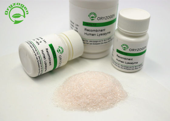 Le lysozyme de recombinaison Lyz de traitement de diarrhée a lyophilisé la poudre 50g