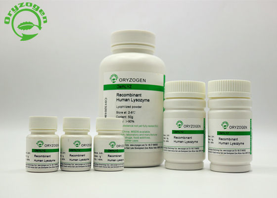 Grande protéine de recombinaison de la pureté 14.7kD de lysozyme de recombinaison libre animal