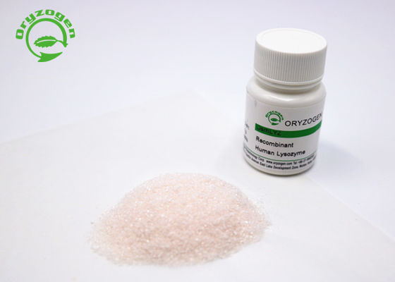 Grande protéine de recombinaison de la pureté 14.7kD de lysozyme de recombinaison libre animal