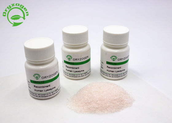 La poudre de recombinaison de lysozyme d'Oryzogen de la plate-forme de riz entassent en vrac approvisionnement CAS No 9001-63-2