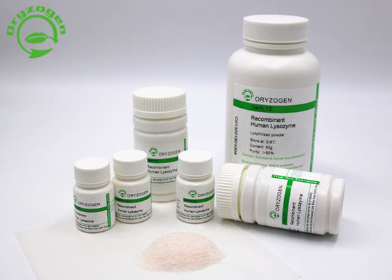La poudre de recombinaison de lysozyme d'Oryzogen de la plate-forme de riz entassent en vrac approvisionnement CAS No 9001-63-2