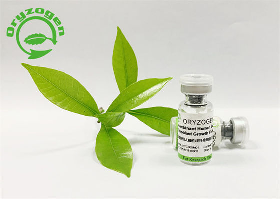 L'usine anti-vieillissement de facteur de croissance de bFGF a dérivé avec la bioactivité élevée