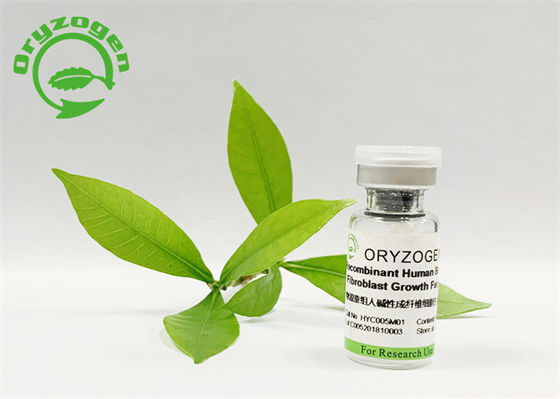 Animal de base inodore de facteur de croissance de fibroblaste libre pour des cosmétiques