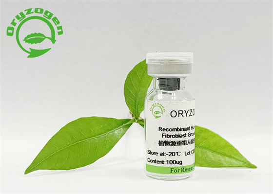 Poudre lyophilisée par facteur de croissance élevé de bFGF de bioactivité de pureté de 95%