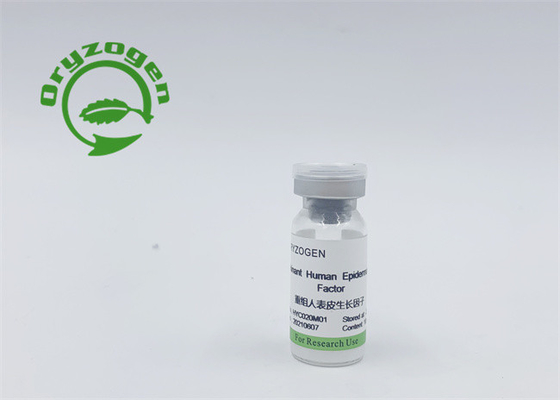 Double efficacité EGF et composant non animal de pureté du bFGF 95%