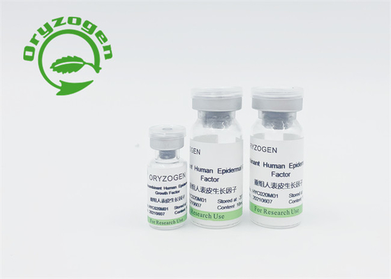 Facteur de croissance épidermique humain d'EGF et animal humain de bFGF libres aucune stimulation