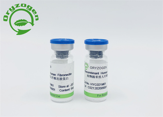 Aucun composant animal allergique Fibronectin libre F-N de peau