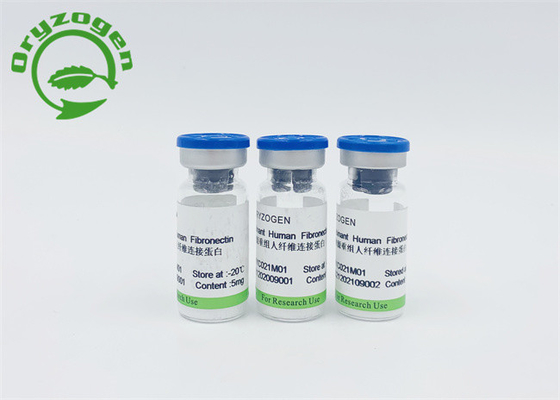 L'usine ISO9001 a dérivé Fibronectin humain de recombinaison