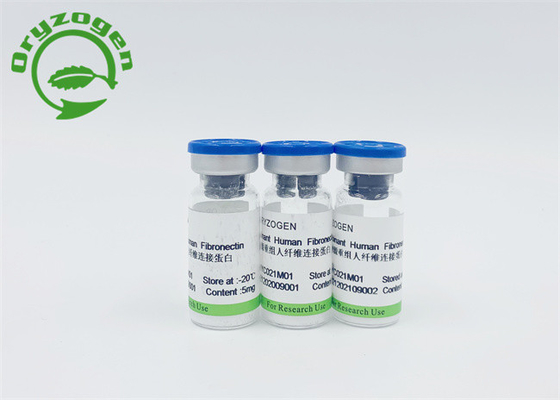Grain de riz Fibronectin humain de recombinaison pour la détection F-N