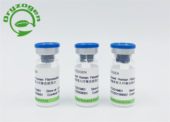 Composant animal Fibronectin humain de recombinaison libre CAS 86088-83-7