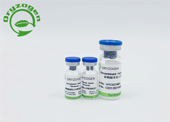 En poudre non le sang a dérivé Fibronectin humain de recombinaison