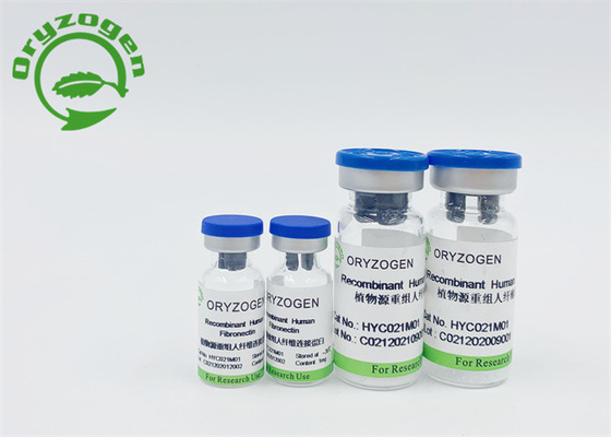 L'Oryza Fibronectin humain de recombinaison sativa a lyophilisé la poudre