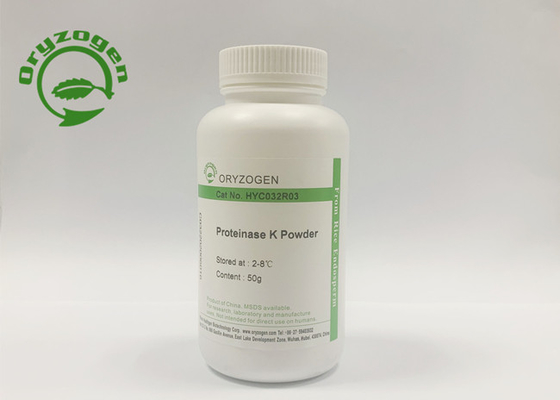 Protéine de recombinaison liquide et lyophilisée de résumé de la protéinase K de poudre