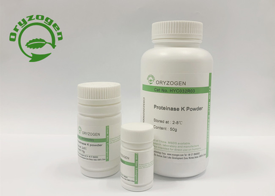 Protéinase de recombinaison K d'approvisionnement stable pour des vaccins de polysaccharide