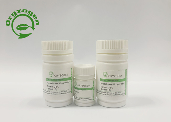 Protéinase de recombinaison K d'activité de plus considérablement que 30 U/Mg pour l'essai nouvel de syndrôme respiratoire aigu grave