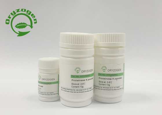 Protéinase de recombinaison K pour l'extraction Covid-19 acide nucléique