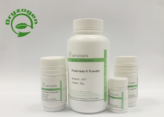 Pureté plus considérablement que de 95% PK de recombinaison pour Covid – détection 19 acide nucléique