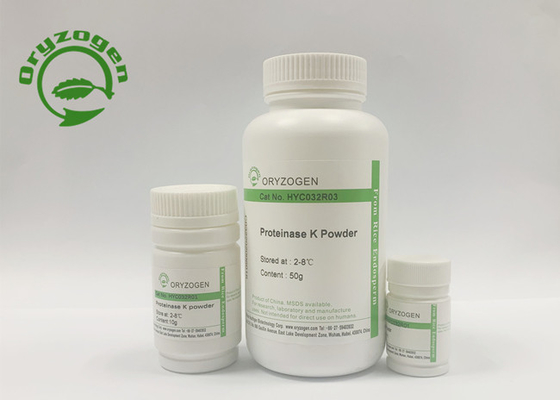Protéinase de recombinaison K d'activité spécifique de plus considérablement que 40 U/MgP pour l'extraction d'ADN