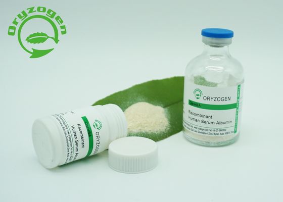 Oryzogen 65 KD de recombinaison A la poudre pour CAS vaccinique 70024 90 7